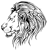 xpower lion